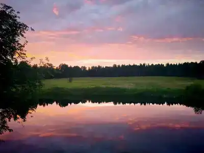 Маркомусы - 67