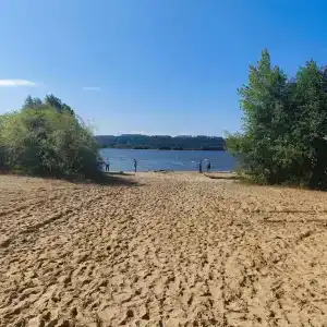 Кувшинка - 0