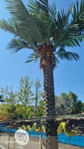 Sunrise Park Relax&Spa Ultra All Inclusive - 42