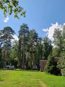 Росинка - 10