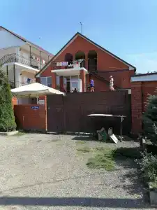 Калатея - 11