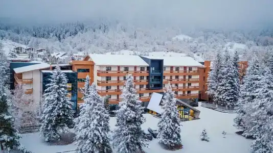 Bakuriani Inn - 0