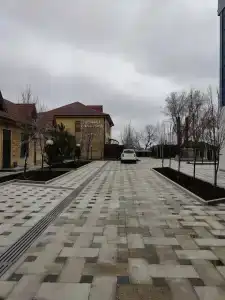 Старый Парк - 23