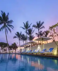 The Lucky Elephant - 40