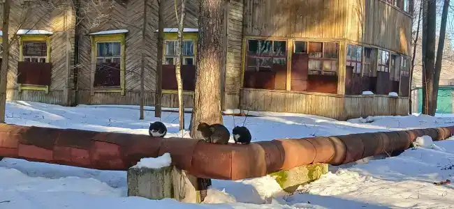 Санаторий - 58