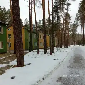 Синезерки - 17