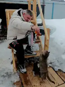 Савинка - 50
