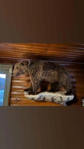 Микли-Ольгино - 79