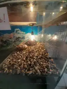 Томь-Усинский - 63