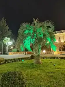 Приморский корпус - 67