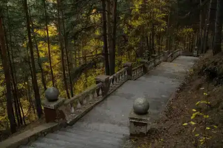 Сосновый бор - 98