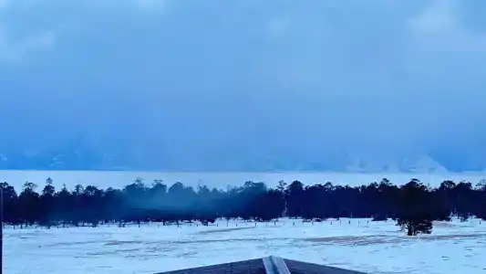 ОльхонШоколад - 65