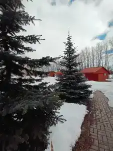 Серебряный ключ - 14