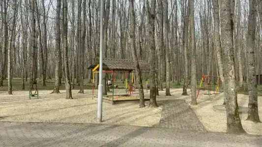 Метелица - 30