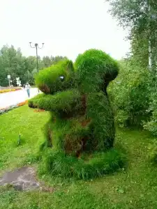 Кедровый Лог - 38