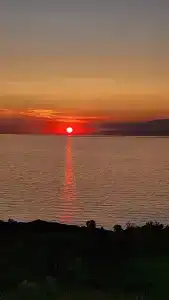 Замок грез - 66