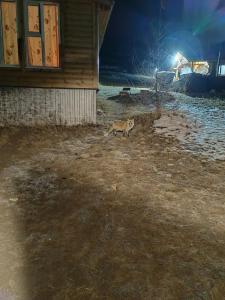 Мир Байкала - 91