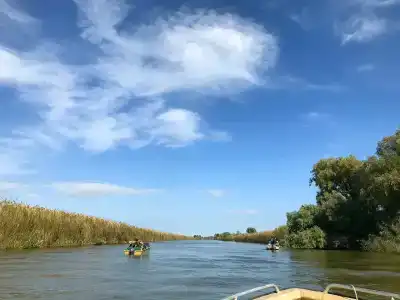 Рыбоход - 19