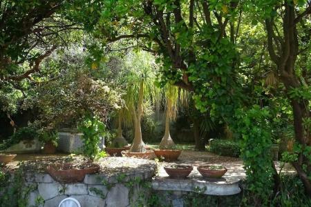 Tenuta Bianca - 14