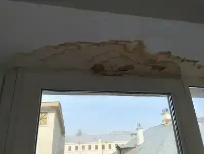 Элизиум на Пушкинской - 28