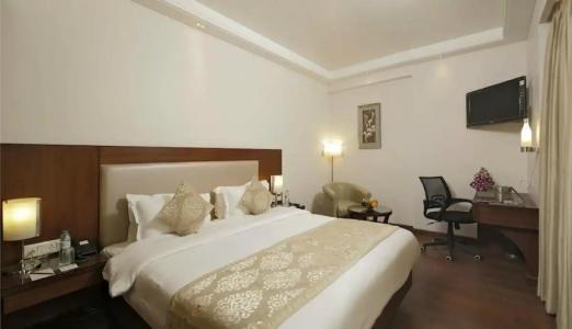 Regenta Central Jal Mahal, Jaipur - 20