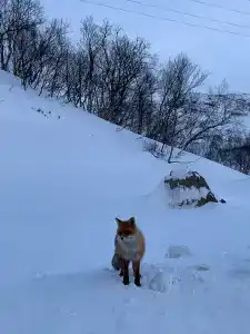 В центре старой Териберки - 15
