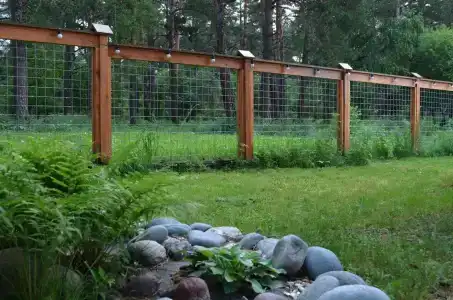 Лес ДО небес - 5