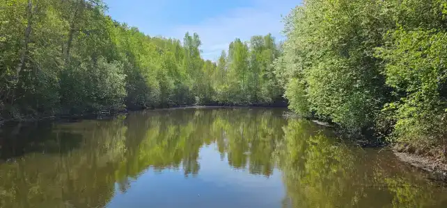 Железнодорожник - 25
