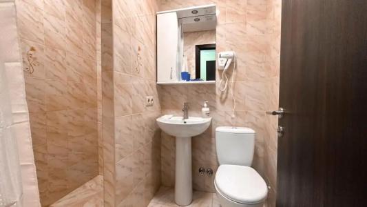 Дельфиния - 12