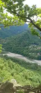 Демфил (Родина) - 16
