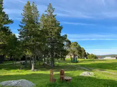 Кедр Грасс Белое Море - 98