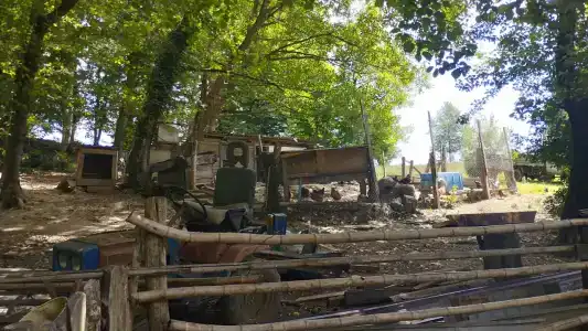 Озеро Ольховое - 26