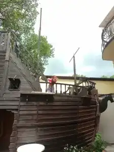 Золотой Пегас - 23
