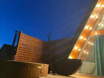 Ильинка лес - 25