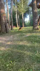Хуторок-1 - 17