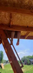 Смородина - 52