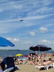 7 Avenue Hotel & SPA - 88