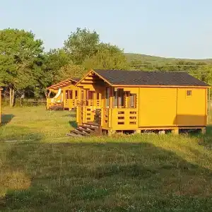 Дрозды - 28