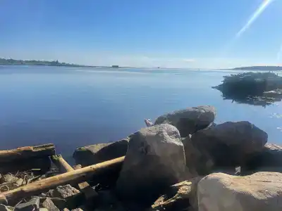 Татьяна - 19