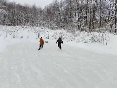Хвойный парк - 19