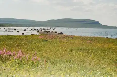 Бухта Большое озерко - 58