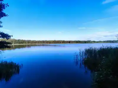 На косе - 0