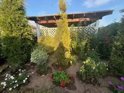 Manor Beach Kazantip - 72