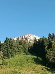 Фишт - 10