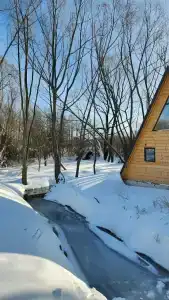 Эко-клуб The Dacha - 43