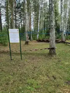 Янов хутор - 46