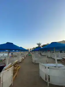 Beach Albatros - - 75