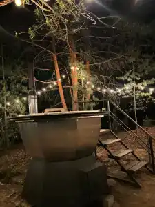 Место под соснами - 20