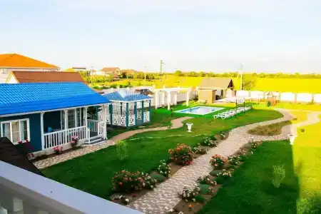 Палисандр - 2