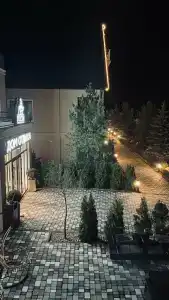 Гости - 42